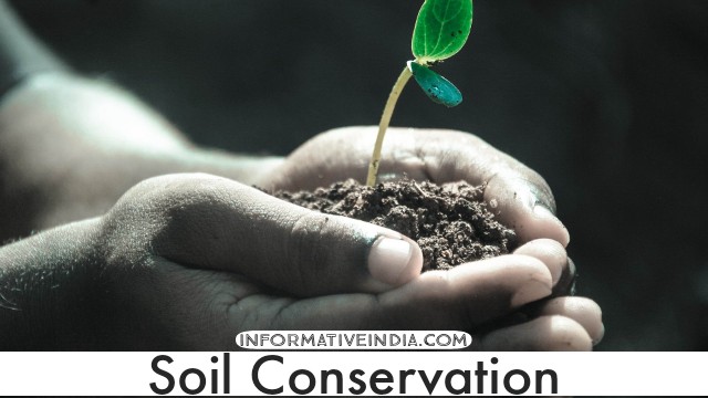 Why is the Conservation of Forests, Wild Life, Soil and Water Essential?