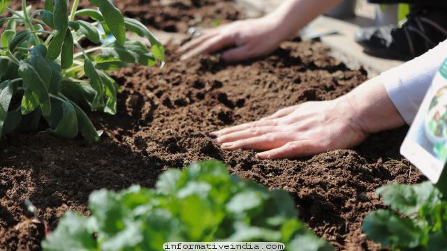 What is Pollution? Explain the Pollutants Air, Water and Soil