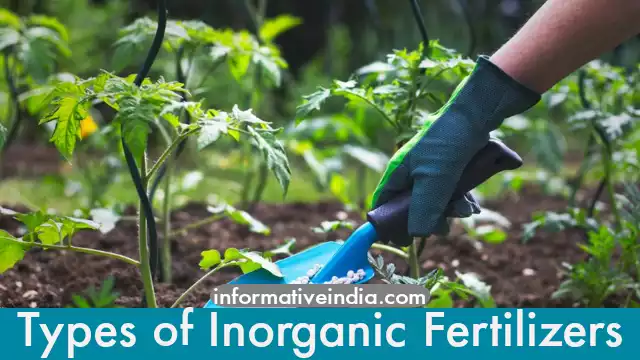 Describe the Utility of Fertilizers and Types of Inorganic Fertilizers